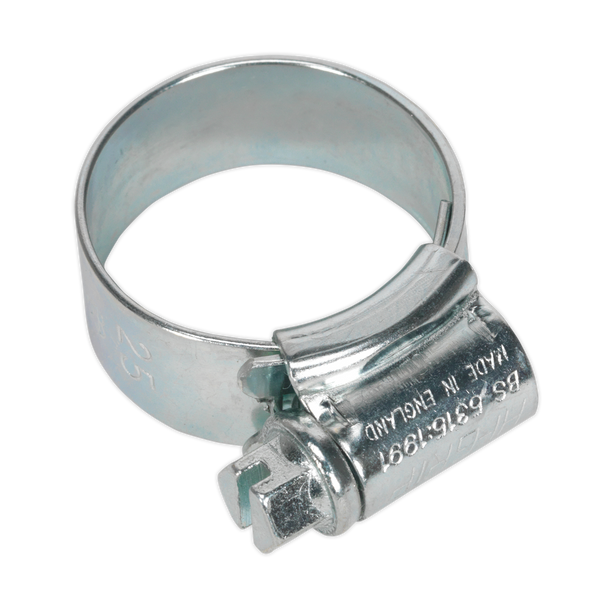 Sealey HCJ0X Ø17-25mm Zinc Plated HI-GRIP® Hose Clip - Pack of 20