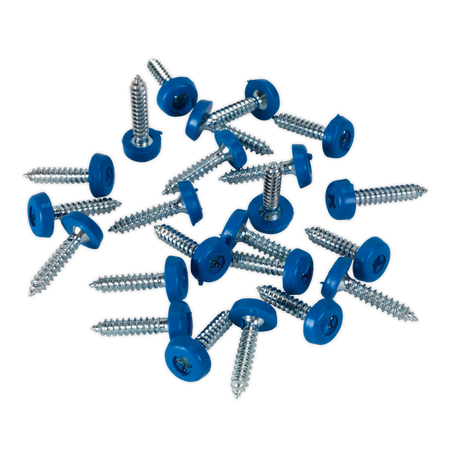 Sealey PTNP8 4.8 x 24mm Blue Numberplate Screw - Pack of 50