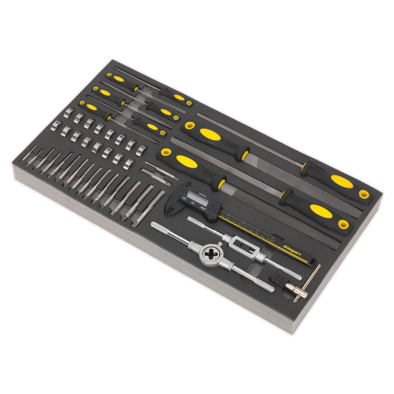 Sealey S01132 48pc Tap & Die, File & Caliper Set with Tool Tray