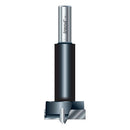 Trend Tools 1004/20TC Lip And Spur Two Wing Bit 20Mm Diameter