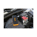 BETA 14980040 1498BC/12-MULTIPURPOSE PORTABLE STARTER