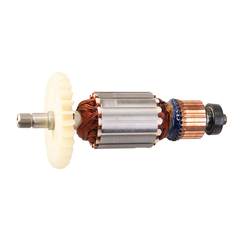 Triton 317801 Armature 240V