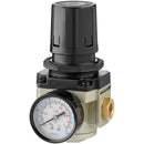 Clarke 3120167 CAT865 Air Regulator with Gauge