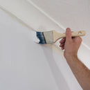 Silverline 539647 Cutting-In Paintbrush