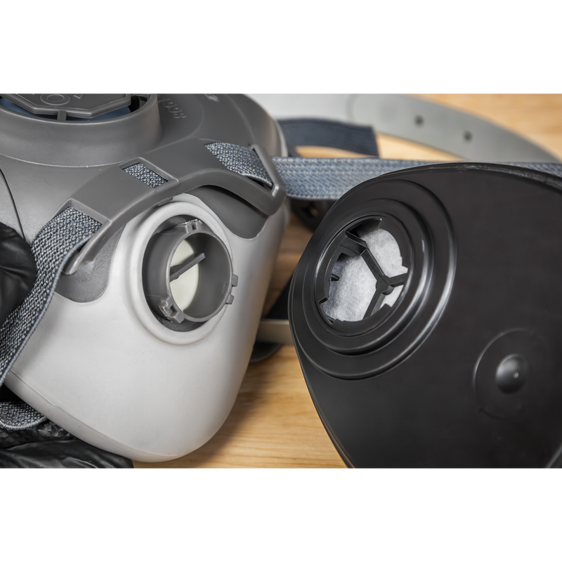 Sealey 9002 ABEK1 Filter Cartridge - Pack of 2