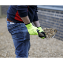 Sealey 9126 Worksafe¬Æ Thermal Super Grip Gloves, Large - Pair