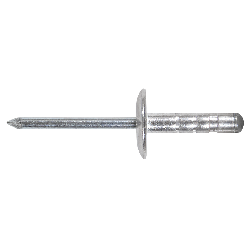 Sealey AB079AR Aluminium Rivet Assortment 335pc