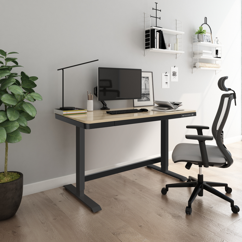 Dellonda DH65 Dellonda Oak Electric Adjustable Standing Desk with USB & Drawer, 1200 x 600mm
