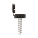 Sealey NPSSET Clip Strip Deal - Mixed Numberplate Screws