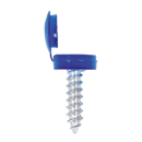 Sealey NPSSET Clip Strip Deal - Mixed Numberplate Screws