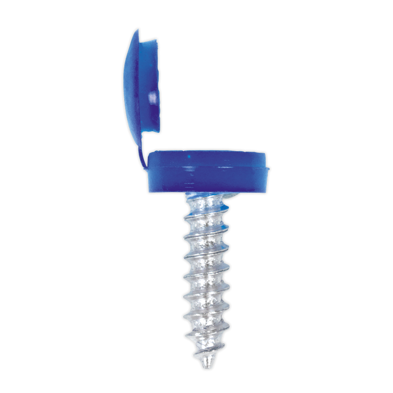 Sealey NPSSET Clip Strip Deal - Mixed Numberplate Screws