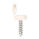 Sealey NPSSET Clip Strip Deal - Mixed Numberplate Screws