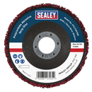 Sealey PTC/CW115R Polycarbide Abrasive Strip Disc 115 x 13 x 22mm - Red