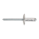 Sealey RVSET Clip Strip Deal - Aluminium Rivets