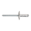 Sealey RVSET Clip Strip Deal - Aluminium Rivets