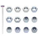 Sealey MNSET Clip Strip Deal - Mixed Nuts