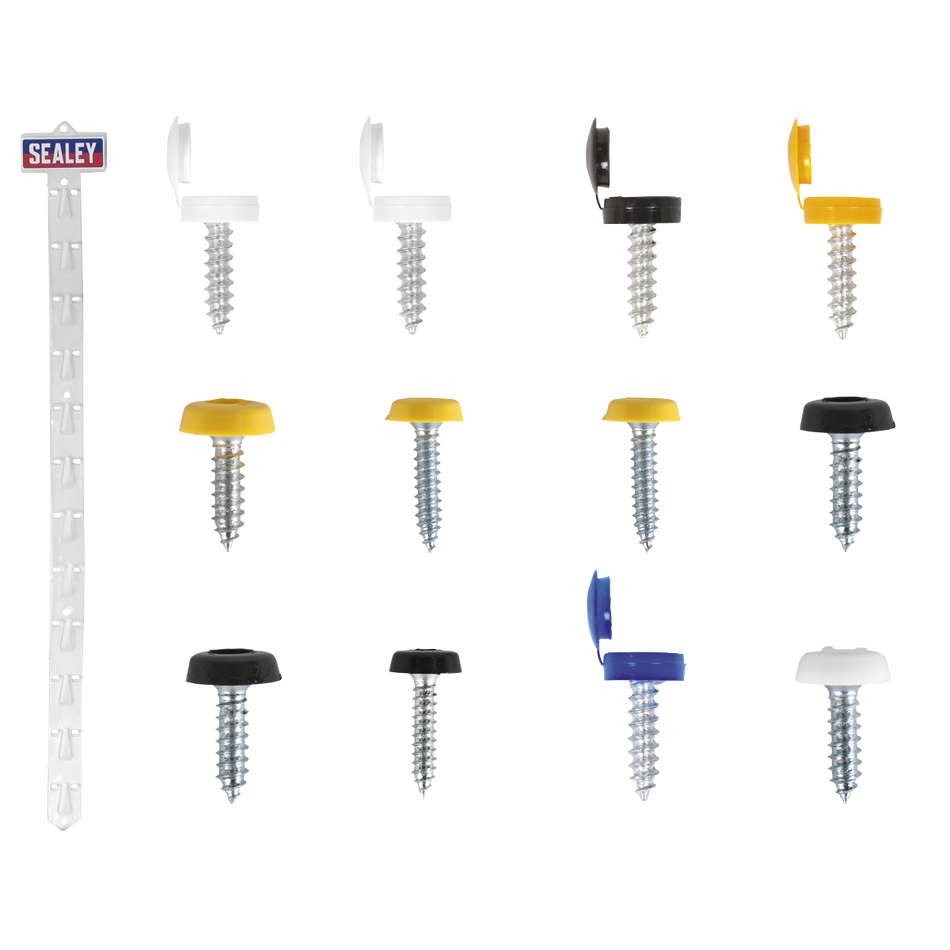 Sealey NPSSET Clip Strip Deal - Mixed Numberplate Screws