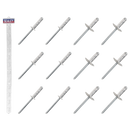 Sealey RVSET Clip Strip Deal - Aluminium Rivets