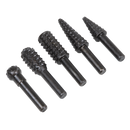 Sealey RWBS5 Rotary Burr Rasp Drill Bit Set 5pc