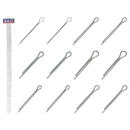 Sealey SPSET Clip Strip Deal - Split Pins