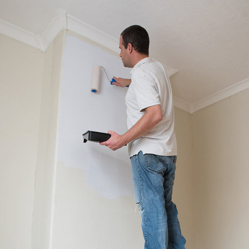 Silverline 733233 Roller & Tray Set