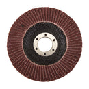 Silverline 792089 Aluminium Oxide Flap Disc