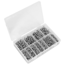 Sealey AB0700SSST Stainless Steel Self-Tapping Screw Assortment 700pc