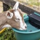 Sealey AFT01 Automatic Cattle Drinking Bowl 4L