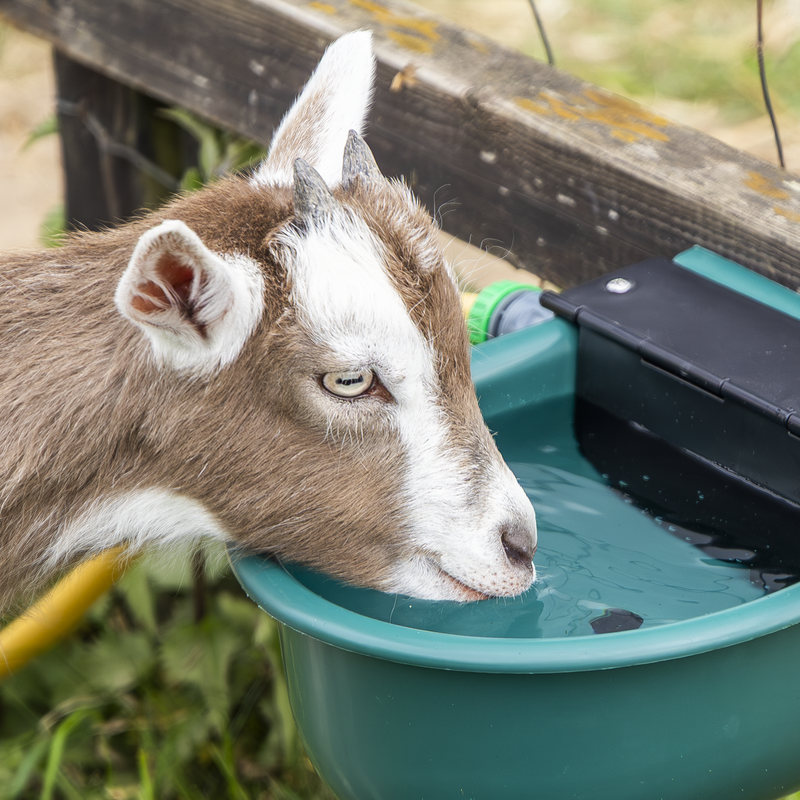 Sealey AFT01 Automatic Cattle Drinking Bowl 4L