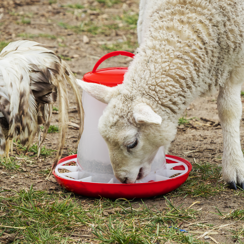 SEALEY AFT033 Poultry Feeder 3kg - Pack of 3