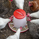 SEALEY AFT042 Poultry Feeder 6kg - Pack of 2