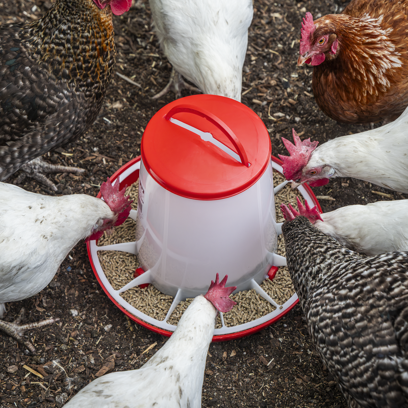 SEALEY AFT042 Poultry Feeder 6kg - Pack of 2