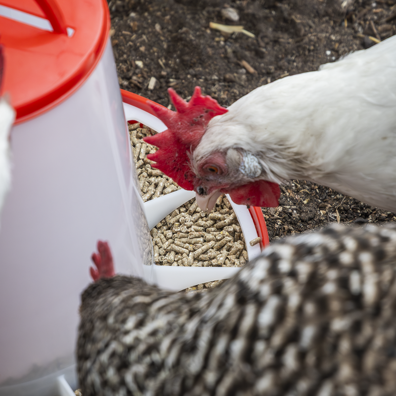 SEALEY AFT042 Poultry Feeder 6kg - Pack of 2