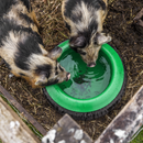 SEALEY AFT07 Tyre Feed Bowl 15L