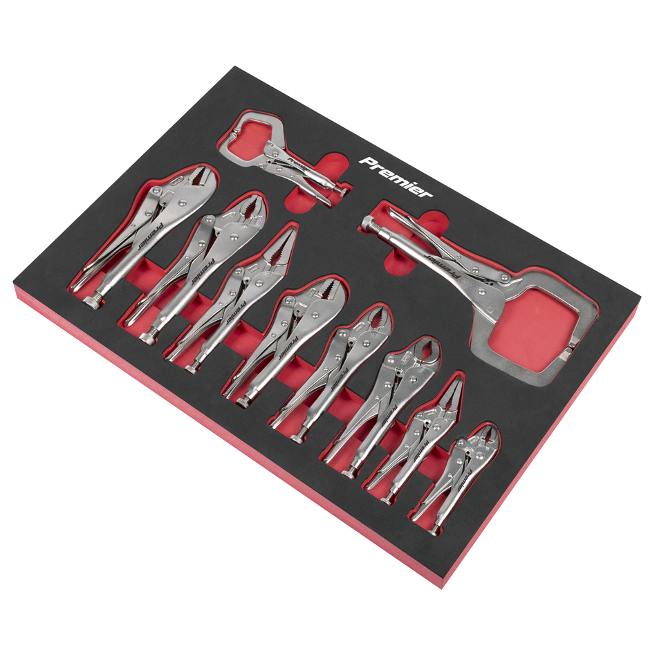 Sealey AK6802 Premier Locking Pliers Set with Foam Tray 10pc