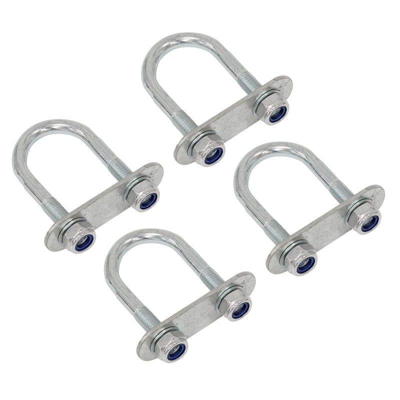Sealey ATCR01R ATV Rear Cargo Rack