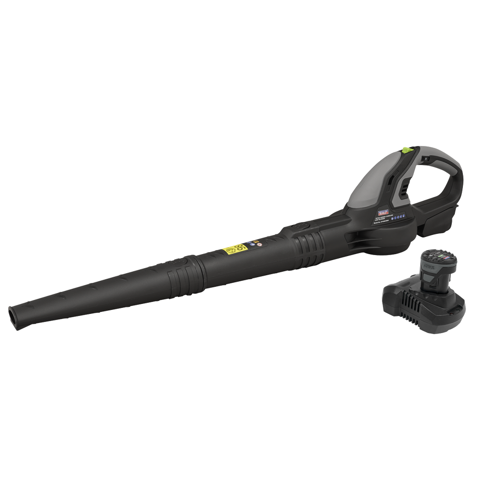 Sealey CP108VB SV10.8 Series Cordless Leaf Blower Kit 10.8V 2Ah