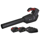 Sealey CP40VBKIT Cordless Blower Kit 40V 4Ah SV20 Series