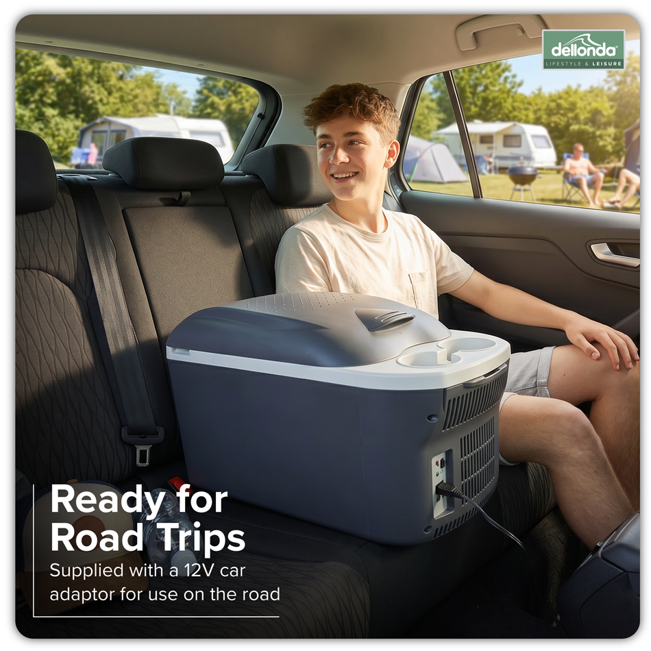 Dellonda DL167 16L Portable Cool Box 12V/230V