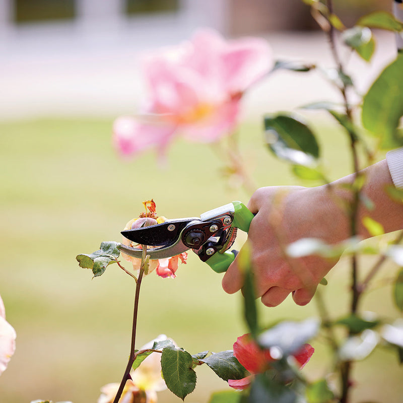 Silverline GT101 Secateurs