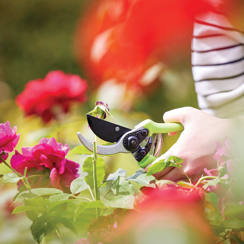 Silverline GT101 Secateurs