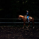 Ledlenser 500853 H8R RECHARGEABLE LED Headlamp (600)