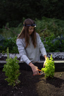 Ledlenser 502121 H5R CORE RECHARGEABLE LED Headlamp (CS500)