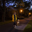 Ledlenser 7298 H7R.2 Led Headlamp (300)