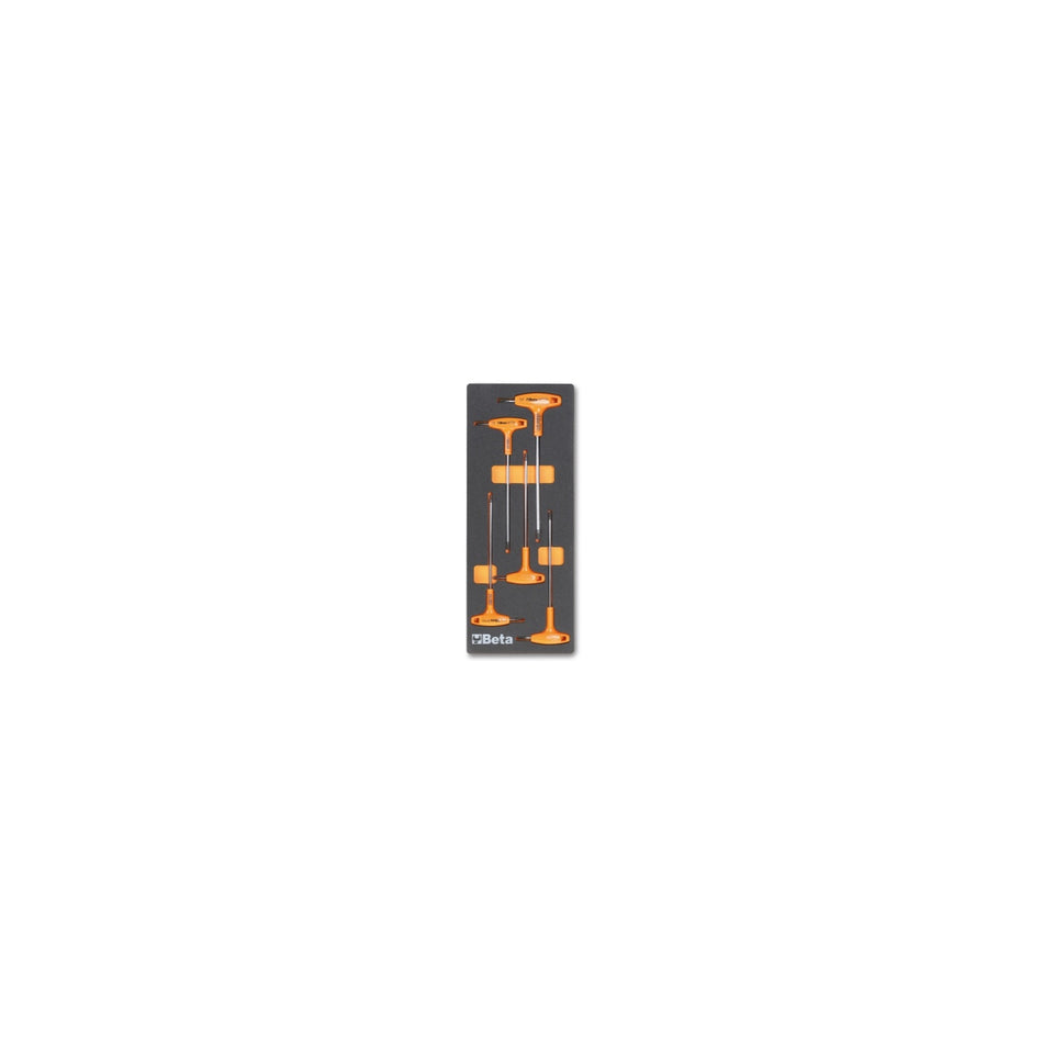 BETA 24500055 M55-SOFT THERMOFORMED TRAY WITH 5 TOOLS