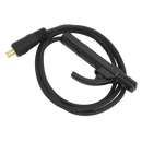 Sealey MINIMW200i Inverter Welder 200A/230V