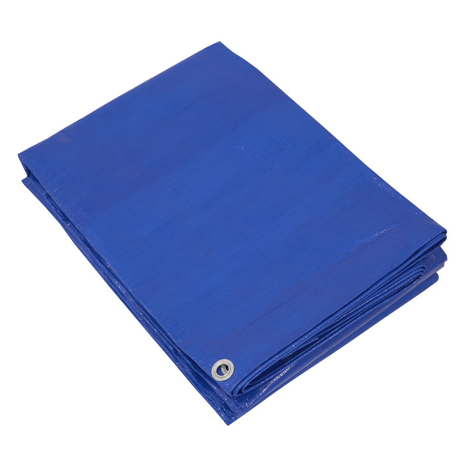 Sealey TARP6012 Lightweight PE Tarpaulin 6.10 x 12.19m - Blue