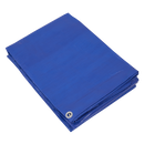 Sealey TARP6012 Lightweight PE Tarpaulin 6.10 x 12.19m - Blue