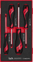 Teng Tools TEAMD04N1 Screwdriver Set PH/PZ FOAM1 4 Pieces