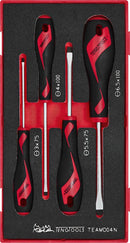 Teng Tools TEAMD04N Screwdriver Set Flat FOAM1 4 Pieces